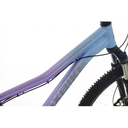 Maxbike Taal Lady 29"- 17" fialový 2025