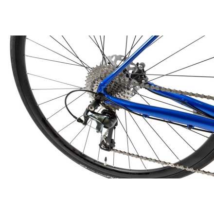 PELLS Aeron 2 Ocean Blue - L 550mm 2024