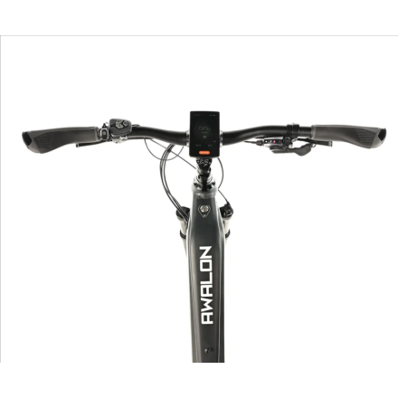 Leaderfox AWALON LADY 29", 18"-1, GREY 2025