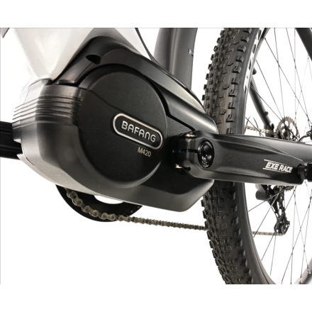 Leaderfox AWALON 29", 19,5"-1, GREY 2025