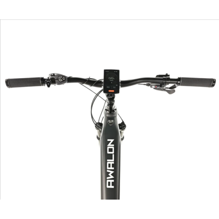 Leaderfox AWALON 29", 19,5"-1, GREY 2025
