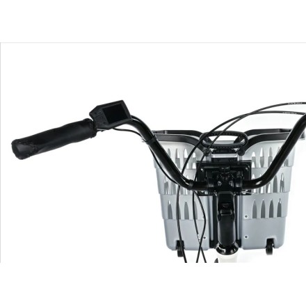 Leaderfox CARGO - TRICYCLE BORMIO, WHITE MATT 2025