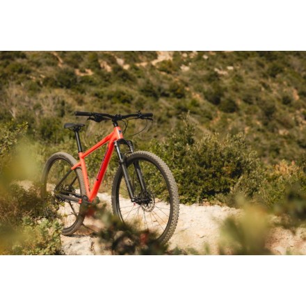 PELLS Razzer 2 Salmon/deep sea - M 2025