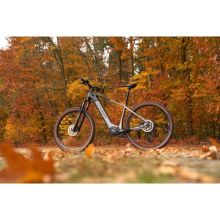 Crussis ONE-Largo 10.11-(715 Wh) 22" 2026